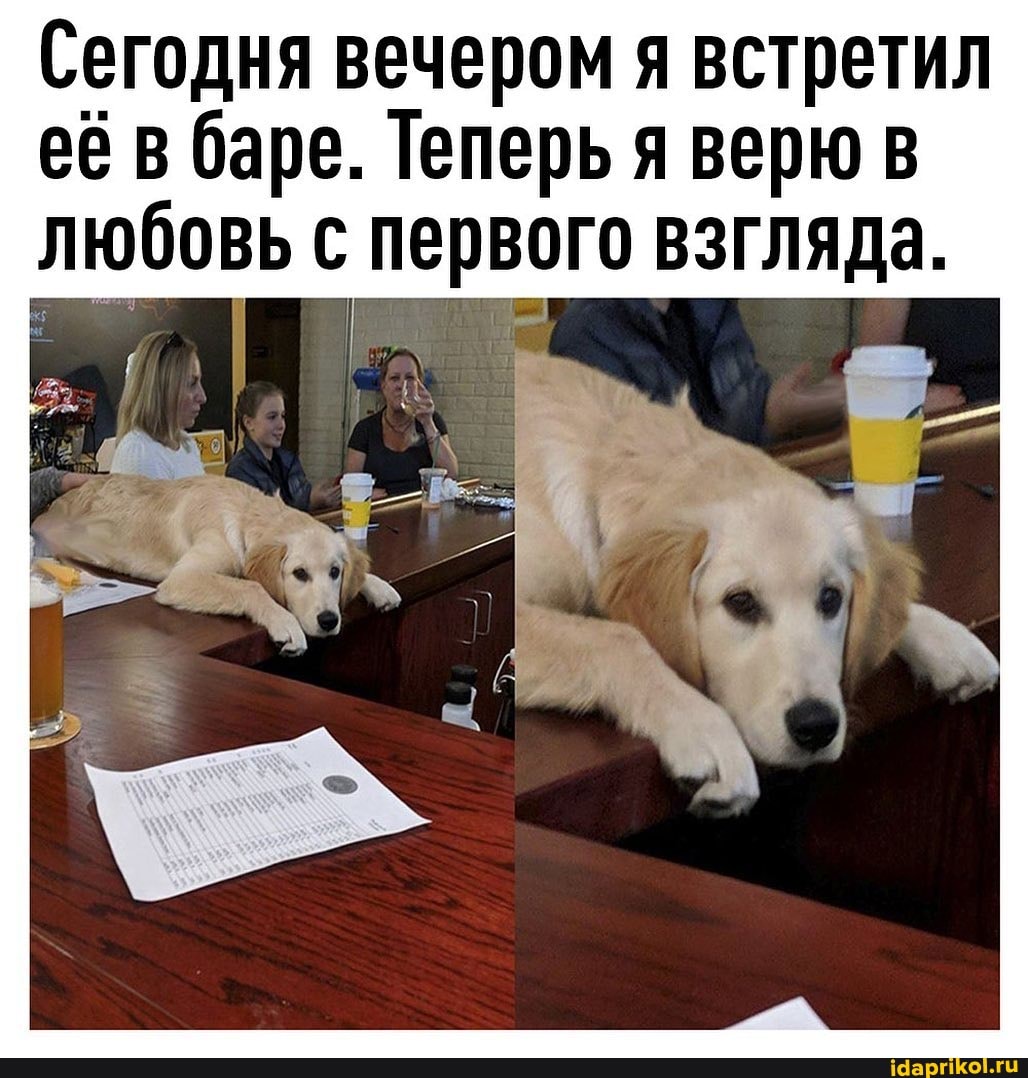 Сегодня вечером я встретил её в баре. Теперь я верю в любовь с первого взгляда.