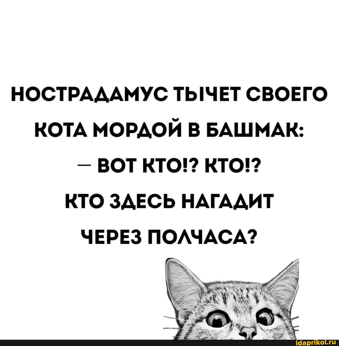 НОСТРАДАМУС ТЫЧЕТ СВОЕГО КОТА МОРДОЙ В БАШМАК:
- ВОТ КТО!? КТО!?
КТО ЗДЕСЬ НАГАДИТ ЧЕРЕЗ ПОЛЧАСА?