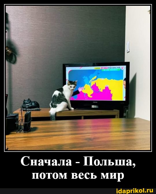 Сначала - Польша, потом весь мир