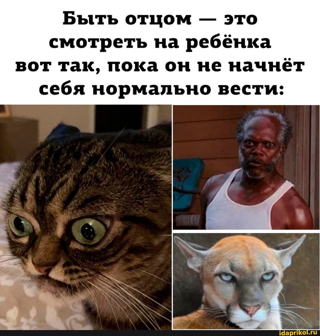 Быть отцом - это смотреть на ребёнка вот так, пока он не начнёт себя нормально вести: