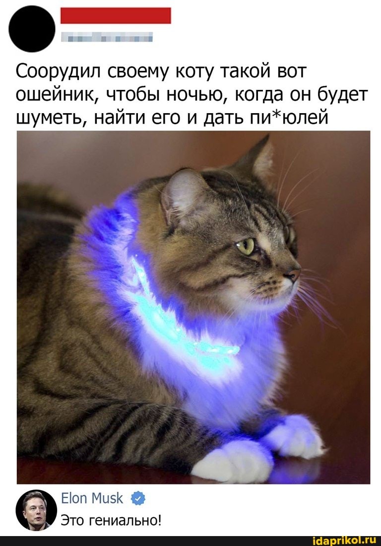 Соорудил своему коту такой вот ошейник, чтобы ночью, когда он будет шуметь, найти его и дать пи*юлей
Ноп
Это гениально!