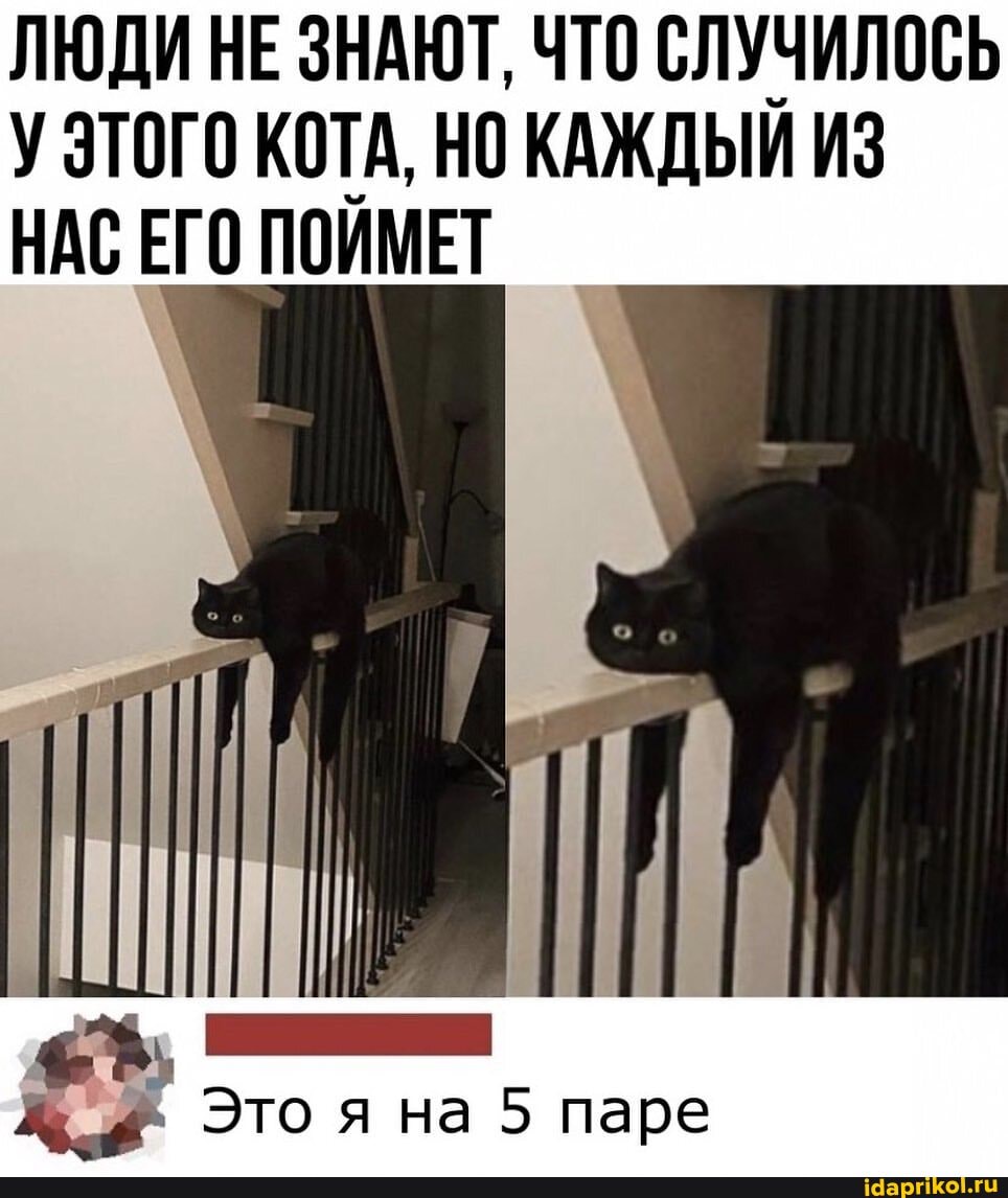 ЛЮДИ НЕ ЗНАЮТ, ЧТО СЛУЧИЛОСЬ У ЭТОГО КОТА, НО КАЖДЫИ ИЗ НАС ЕГО ПОИМЕТ
Это я на 5 паре