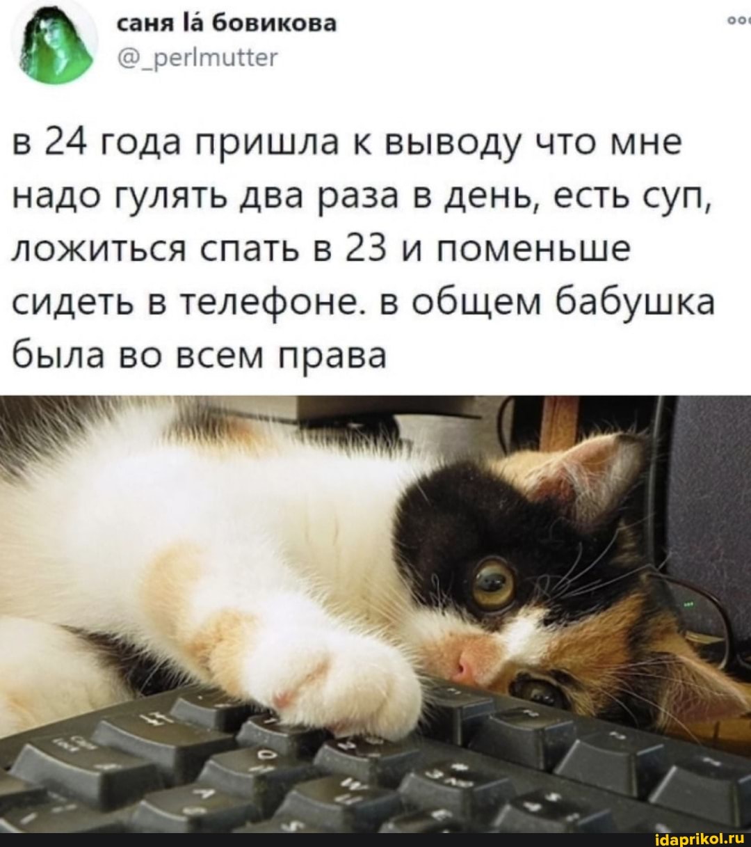 бовикова
в 24 года пришла к выводу что мне надо гулять два раза в день, есть суп, ложиться спать в 23 и поменьше сидеть в телефоне. в общем бабушка была во всем права