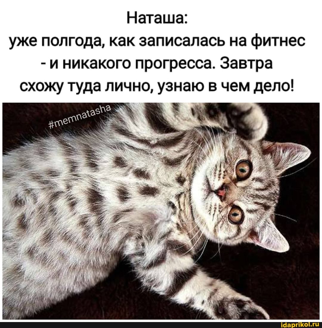 Наташа: уже полгода, как записалась на фитнес
- и никакого прогресса. Завтра схожу туда лично, узнаю в чем дело!