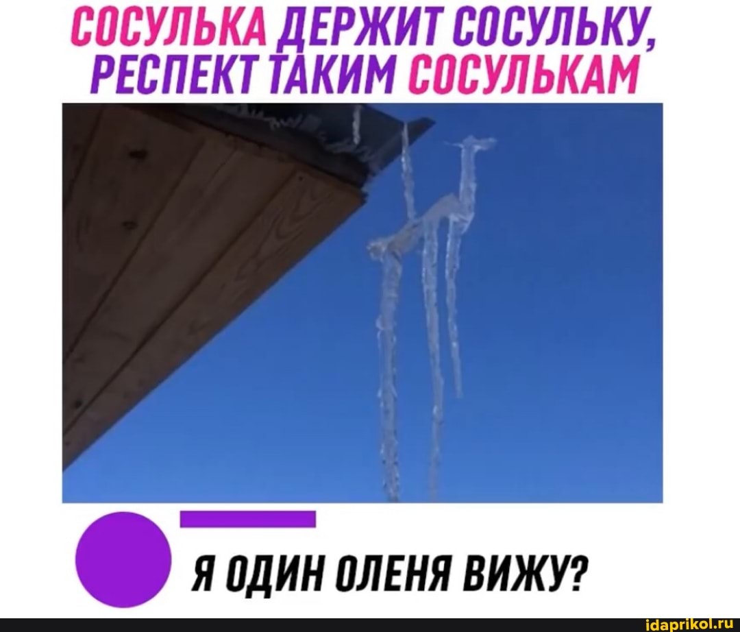 СОСУЛЬКА ДЕРЖИТ СОСУЛЬКУ,
РЕСПЕКТ ТАКИМ СОСУЛЬКАМ
Я ОДИН ОЛЕНЯ ВИЖУ?