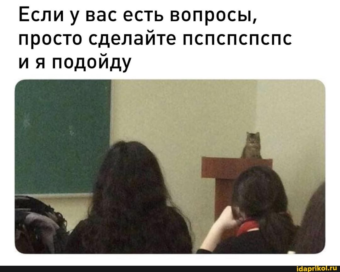 Если у вас есть вопросы, просто сделайте пспспспспс ия подойду
