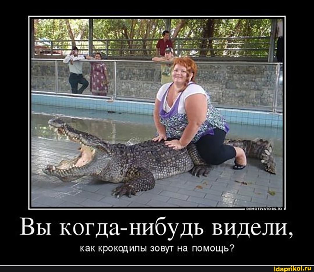 на
Вы когда-нибудь видели,
как крокодилы зовут на помощь?