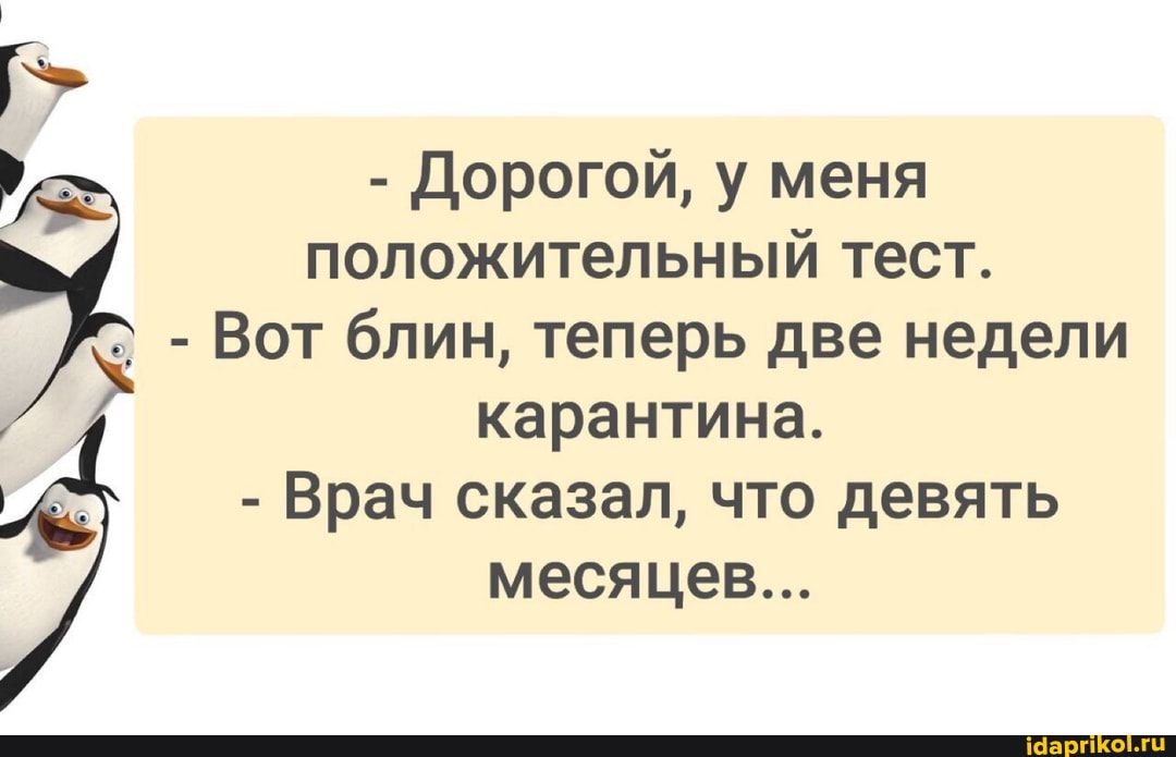 - Дорогой, у меня положительный тест.
- Вот блин, теперь две недели карантина.
- Врач сказал, что девять месяцев...