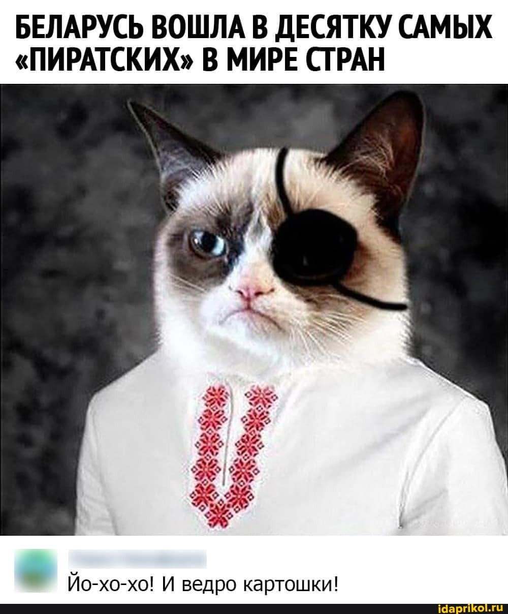 БЕЛАРУСЬ ВОШЛА В ДЕСЯТКУ САМЫХ
"ПИРАТСКИХ" В МИРЕ СТРАН
Йо-хо-хо! И ведро картошки!