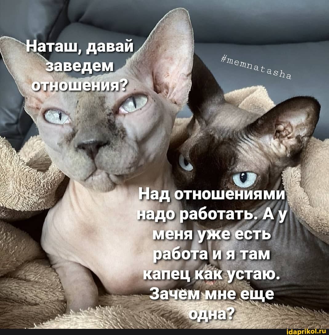 Наташ, давай .
заведем отношения?
Над отношениями надо работать. Ау меня уже есть работа и я там капец как устаю.
Зачем мне еще одна?