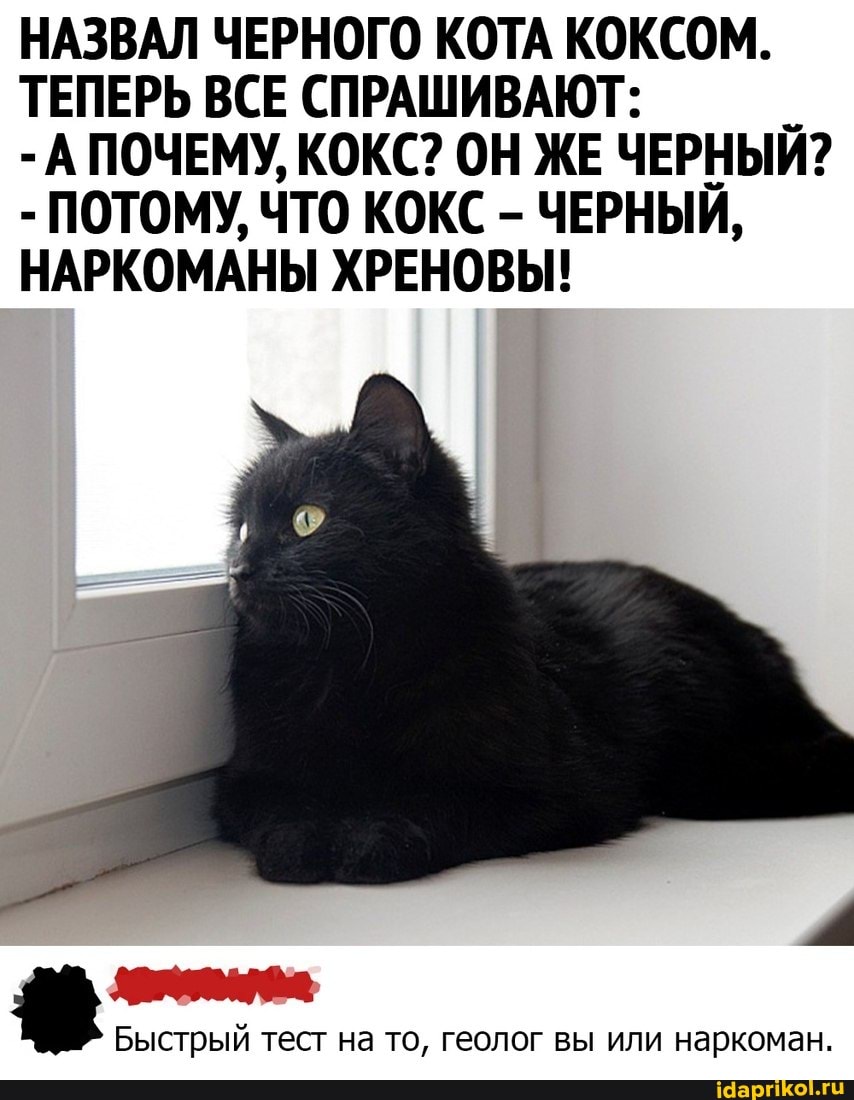 НАЗВАЛ ЧЕРНОГО КОТА КОКСОМ.
ТЕПЕРЬ ВСЕ СПРАШИВАЮТ:
- А ПОЧЕМУ, КОКС? ОН ЖЕ ЧЕРНЫЙ?
- ПОТОМУ, ЧТО КОКС - ЧЕРНЫЙ,
НАРКОМАНЫ ХРЕНОВЫ!
Быстрый тест на то, геолог вы или наркоман.