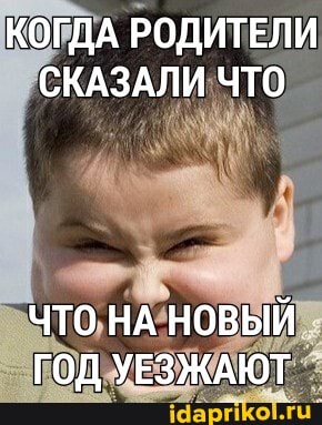 КОГДА РОДИТЕЛИ СКАЗАЛИ ЧТО
ЧТО НА НОВЫЙ ГОД УЕЗЖАЮТ