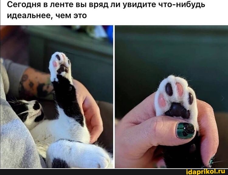 Сегодня в ленте вы вряд ли увидите что-нибудь идеальнее, чем это