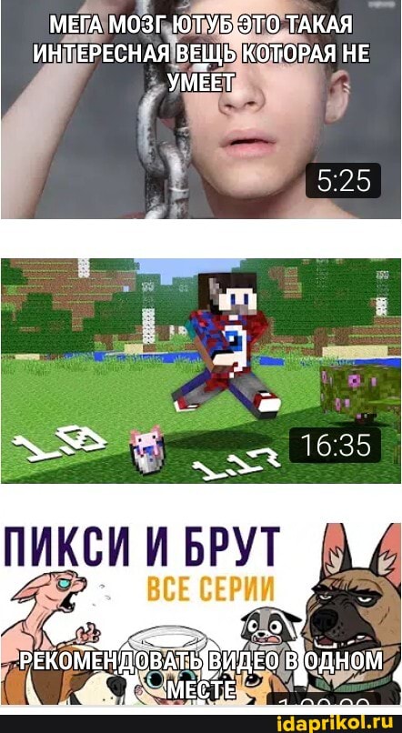 МЕГА МОЗГ ТАКАЯ ИНТЕРЕСНАЯ ВЕЩЬ КОТОРАЯ НЕ УМЕЕТ