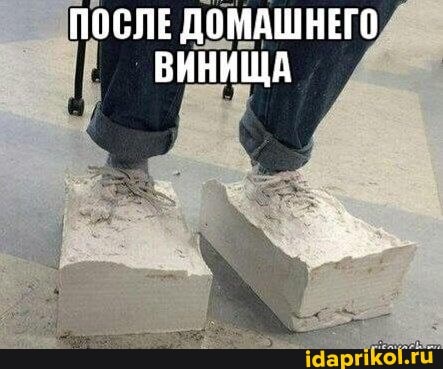 ПОСЛЕ ДОМАШНЕГО ВИНИЩА