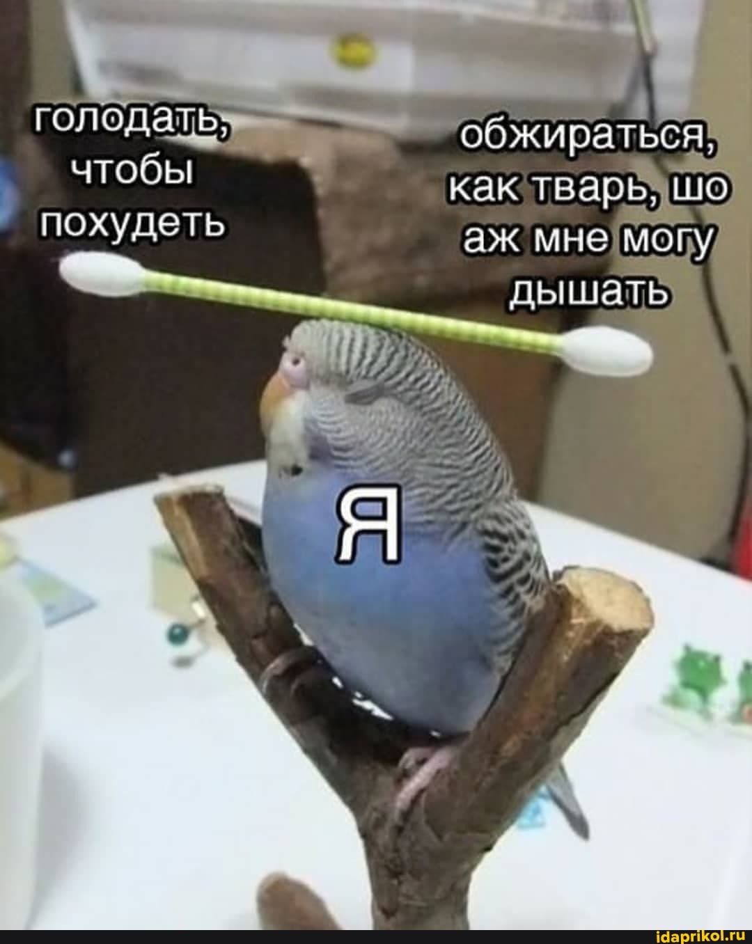 обжираться как тварь. шо) аж дышать
голодать чтобы
похудеть