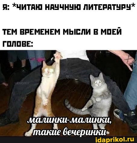 Я: *ЧИТАЮ НАУЧНУЮ ЛИТЕРАТУРУ*
ТЕМ ВРЕМЕНЕМ МЫСЛИ В МОЕЙ ГОЛОВЕ:
