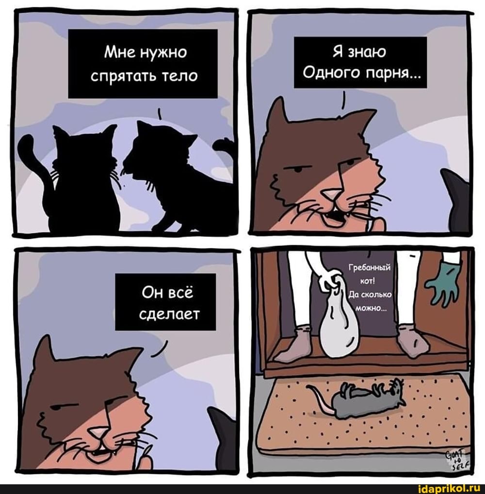 Мне нужно Я знаю спрятать тело Одного парня...
Он все сделает