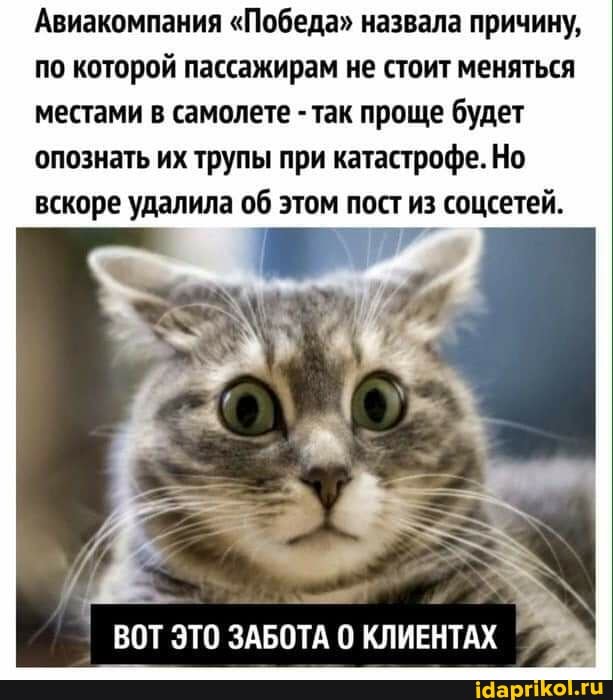 Авиакомпания "Победа" назвала причину, по которой пассажирам не стоит меняться местами в самолете -так проще будет опознать их трупы при катастрофе. Но вскоре удалила об этом пост из соцсетей.
I ВОТ ЭТО ЗАБОТА 0 КЛИЕНТАХ