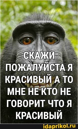 СКАЖИ ПОЖАЛУЙСТА Я КРАСИВЫЙ А ТО МНЕ НЕ КТО НЕ ГОВОРИТ ЧТО
КРАСИВЫЙ