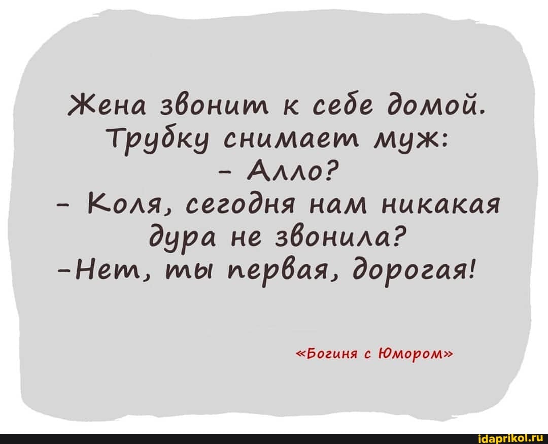 Жена звонит к себе домой.
Трубку снимает муж:
- Алло?
- Коля, сегодня нам никакая дура не звонила?
-Нет, лы первая, дорогая!
"Богиня с Юмором"