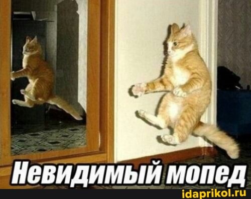 Невидимый мопед