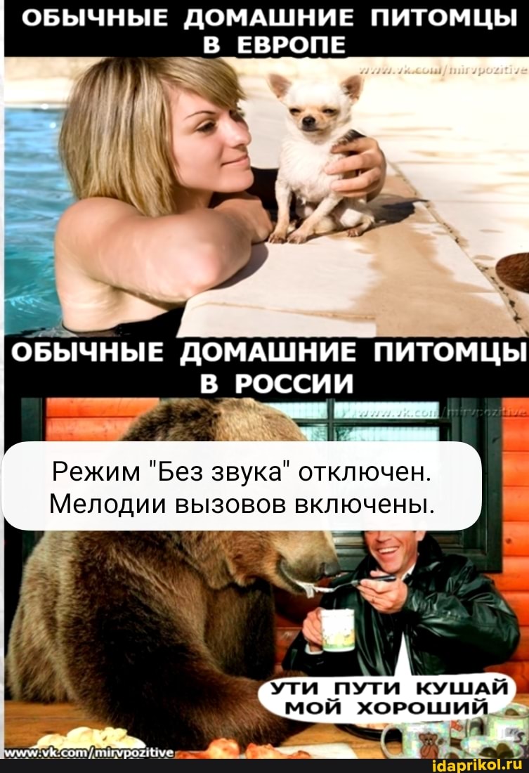 I ОБЫЧНЫЕ ДОМАШНИЕ ПИТОМЦЫ В ЕВРОПЕ
ОБЫЧНЫЕ ДОМАШНИЕ ПИТОМЦЫ В РОССИИ
Режим "Без звука" отключен.
Мелодии вызовов включены.
МОЙ ХОРОШИЙ
- а.