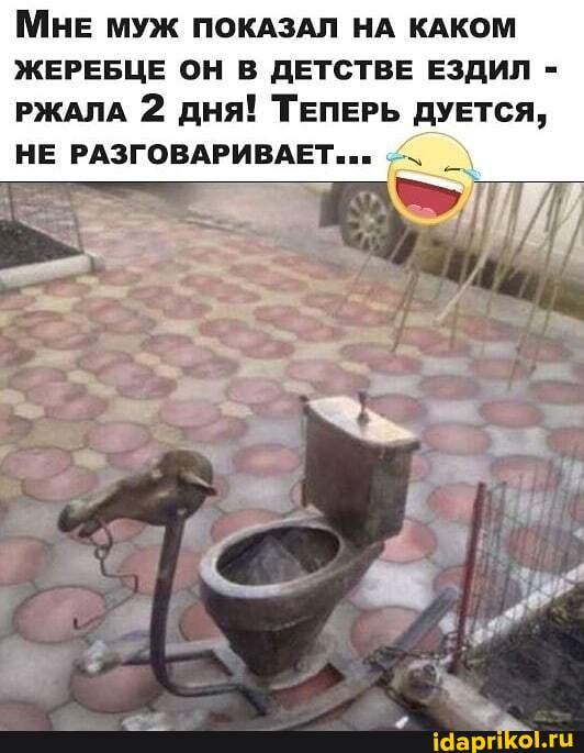 МНЕ МУЖ ПОКАЗАЛ НА КАКОМ
ЖЕРЕБЦЕ ОН В ДЕТСТВЕ ЕЗДИЛ -
РЖАЛА 2 дня! ТЕПЕРЬ ДУЕТСЯ,
НЕ РАЗГОВАРИВАЕТ.."