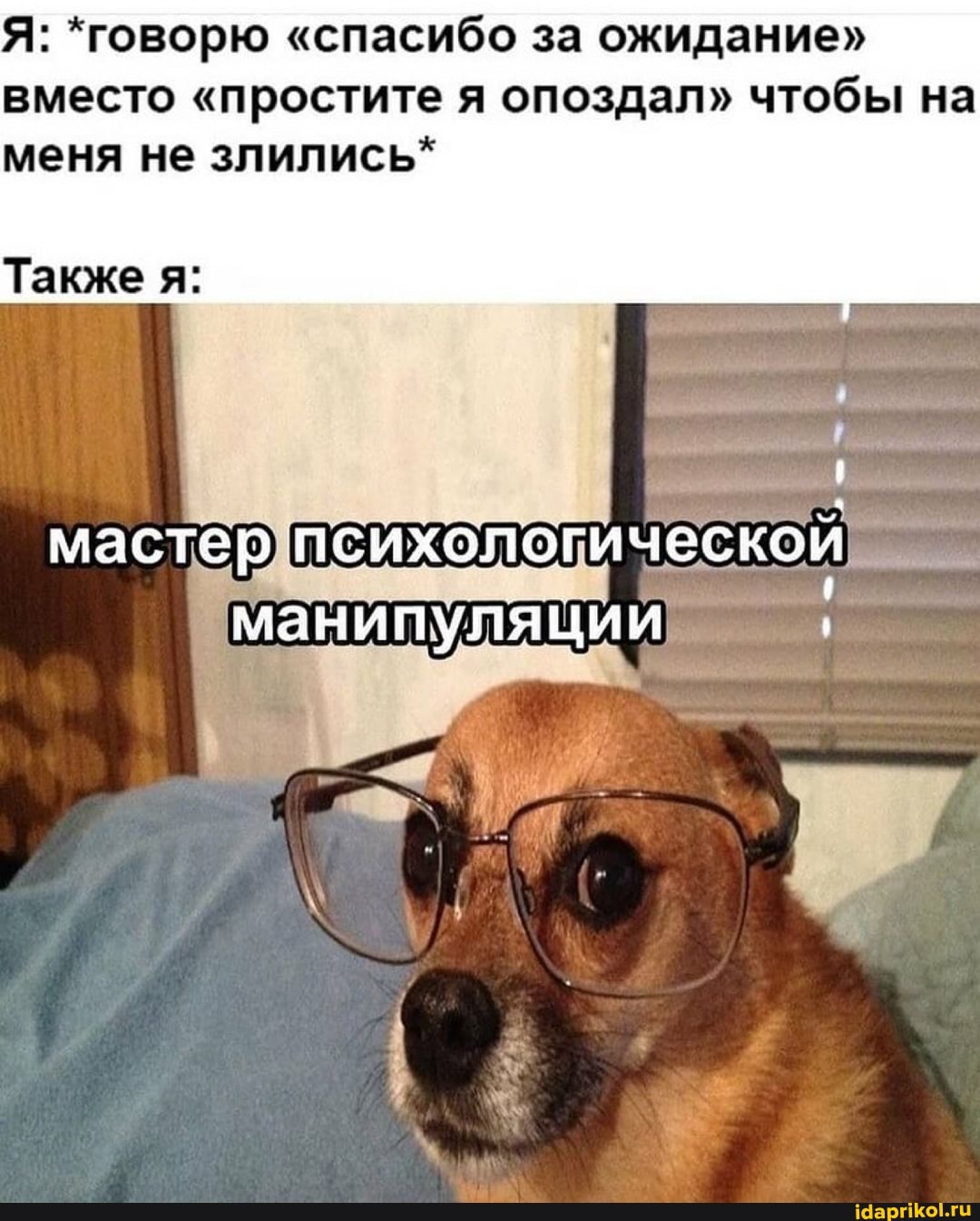 Я: *говорю "спасибо за ожидание" вместо "простите я опоздал" чтобы на меня не злились*
Также я:
мастер психологической
манипуляции