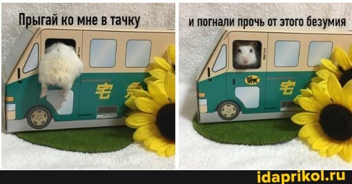Прыгай ко мне в тачку _ погнали прочь от этого безумия_