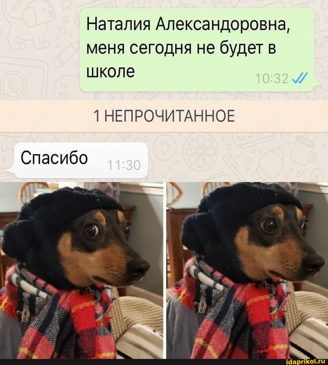 Наталия Александоровна, меня сегодня не будет в школе
1 НЕПРОЧИТАННОЕ
Спасибо