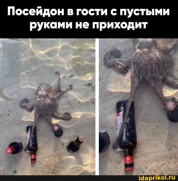 Посейдон в гости с пустыми руками не приходит