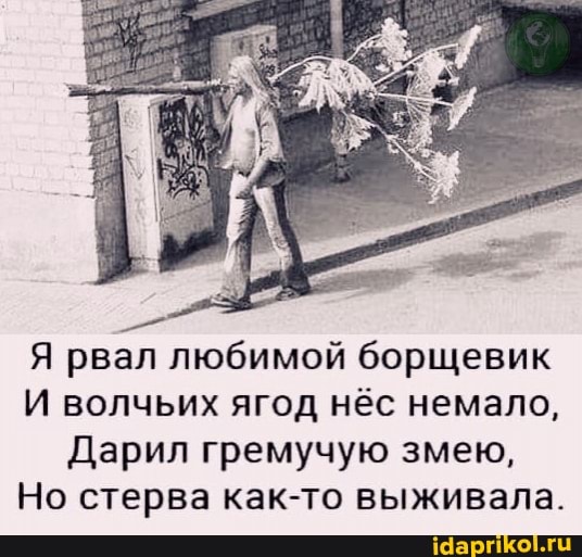 Я рвал любимой борщевик
И волчьих ягод нёс немало,
Дарил гремучую змею,
Но стерва как-то выживала.