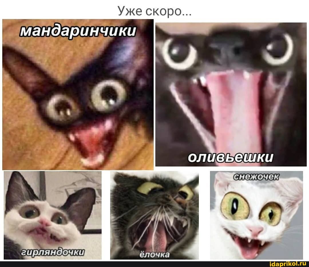 Уже скоро...
мандаринчики
оливБешки