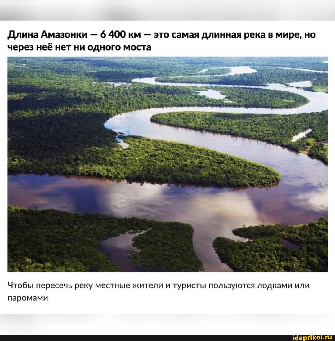 Длина Амазонки - 6 400 км - это самая длинная река в мире, но через неё нет ни одного моста
Чтобы пересечь реку местные жители и туристы пользуются лодками или паромами