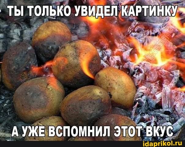 ТЫ ТОЛЬКО УВИДЕЛ КАРТИНКУ -
А УЖЕ ВСПОМНИЛ ЭТОТ ВКУС