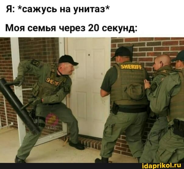 Я: *сажусь на унитаз*
Моя семья через 20 секунд: