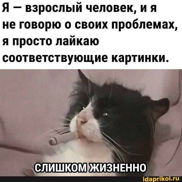 Я - взрослый человек, ия
не говорю о своих проблемах, я просто лайкаю соответствующие картинки.
СЛИЩКОМ ЖИЗНЕННО