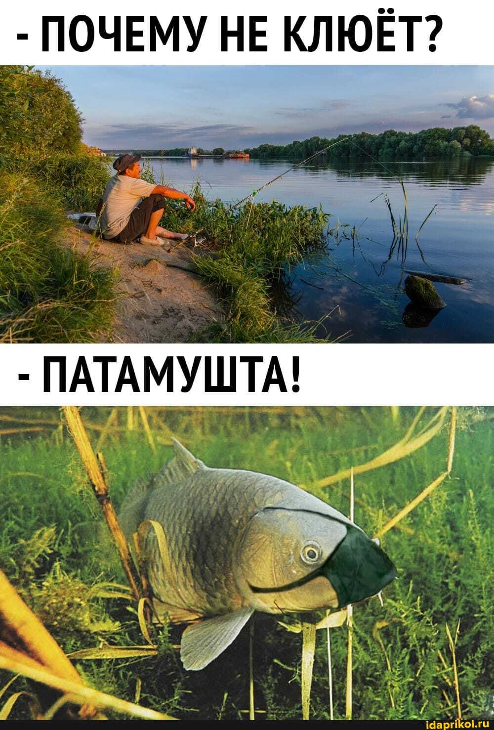 - ПОЧЕМУ НЕ КЛЮЕТ?