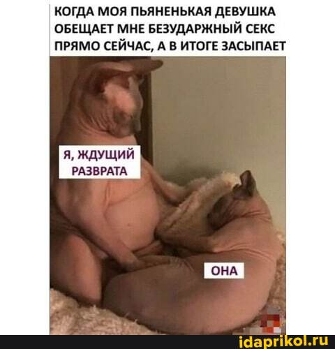 КОГДА МОЯ ПЬЯНЕНЬКАЯ ДЕВУШКА.
ОБЕЩАЕТ МНЕ БЕЗУДАРЖНЫЙ СЕКС ПРЯМО СЕЙЧАС, А В ИТОГЕ ЗАСЫПАЕТ
ЖДУЩИЙ РАЗВРАТА.