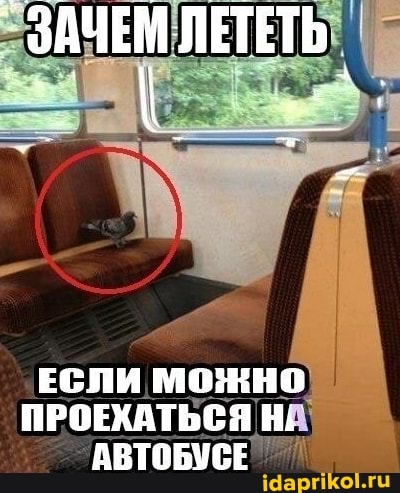 ЕСЛИ ПРОЕХАТЬСЯ НА
АВТОБУСЕ