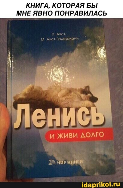 КНИГА, КОТОРАЯ БЫ МНЕ ЯВНО ПОНРАВИЛАСЬ
долго