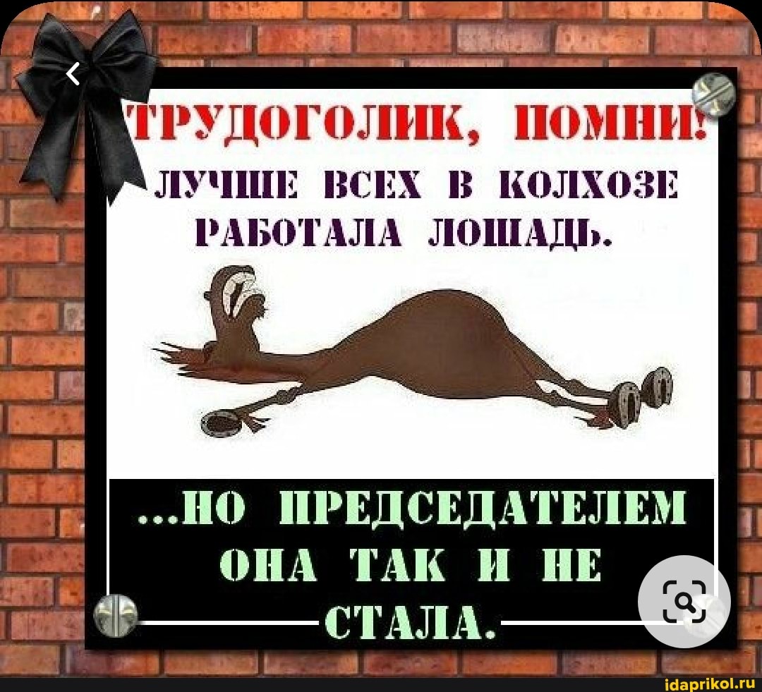 ГРУДОГОЛИК, ПОМНИ ЛУЧШЕ ВСЕХ В КОЛХОЗЕ РАБОТАЛА ЛОШАДЬ.
...НО ПРЕДСЕДАТЕЛЕМ ОНА ТАК И НЕ СТАЛА.