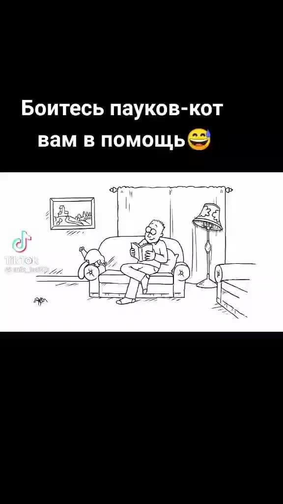 Боитесь пауков-кот вам в помощь