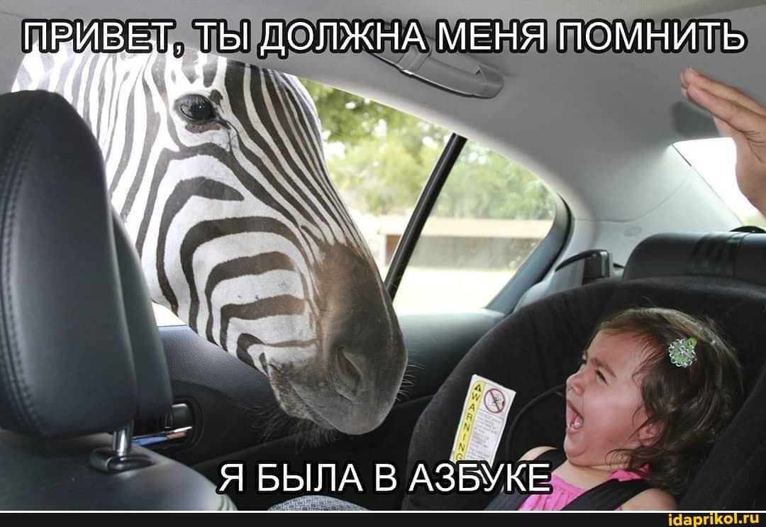 ПРИВЕТ
ТЫ ДОЛЖНА МЕНЯ ПОМНИТЬ
Я БЫЛА В АЗБУКЕ