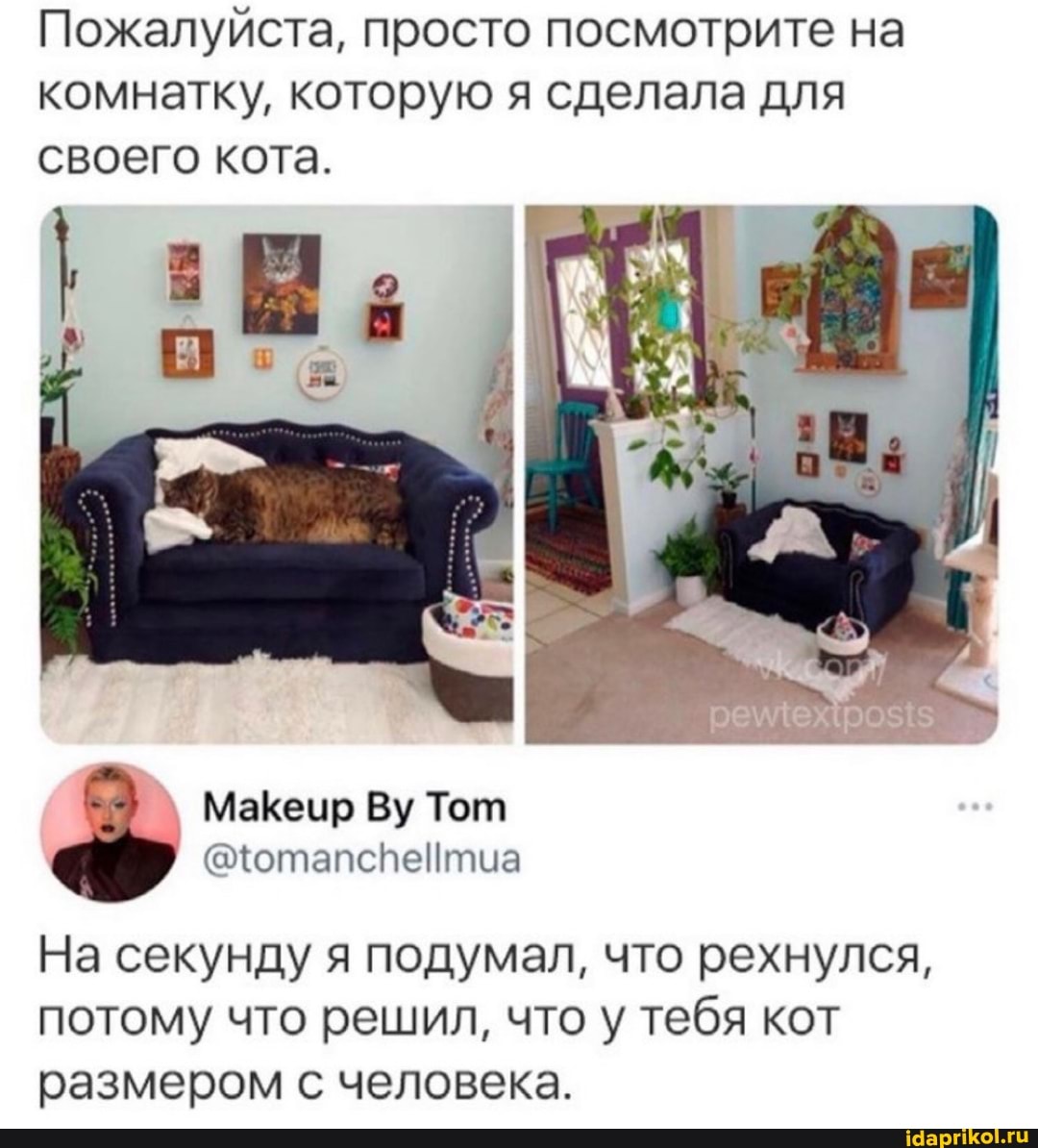 Пожалуйста, просто посмотрите на комнатку, которую я сделала для своего кота.
' МаКечцр Ву Тот
На секунду я подумал, что рехнулся, потому что решил, что у тебя кот размером с человека.