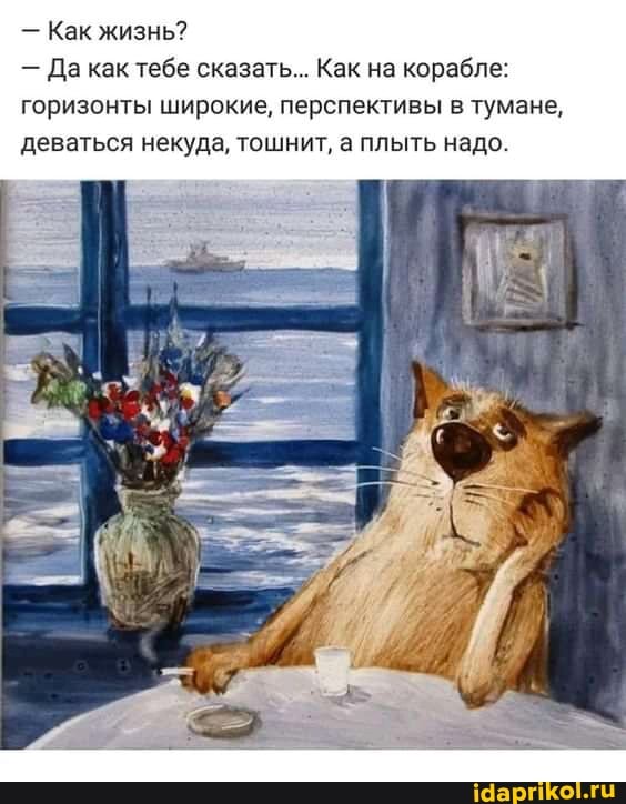 Как жизнь?
- Да как тебе сказать... Как на корабле: горизонты широкие, перспективы в тумане, деваться некуда, тошнит. а плыть надо.