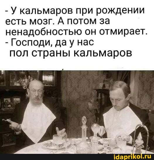 - У кальмаров при рождении есть мозг. А потом за ненадобностью он отмирает.
- Господи, да у нас
пол страны кальмаров