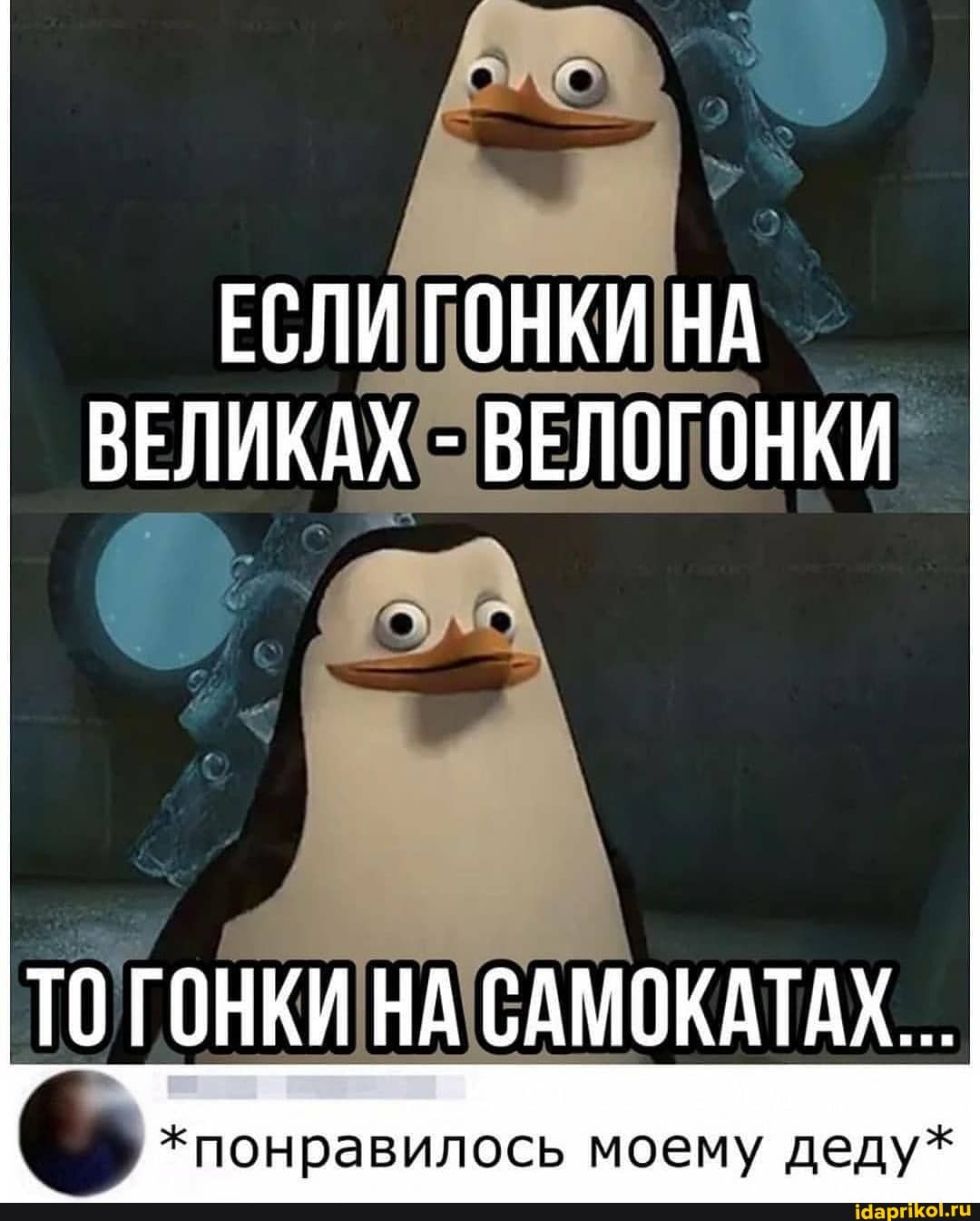 ЕСЛИ ГОНКИ НА ВЕЛИКАХ - ВЕЛОГОНКИ
ТО ГОНКИ НА САМОКАТАХ...
*понравилось моему деду*