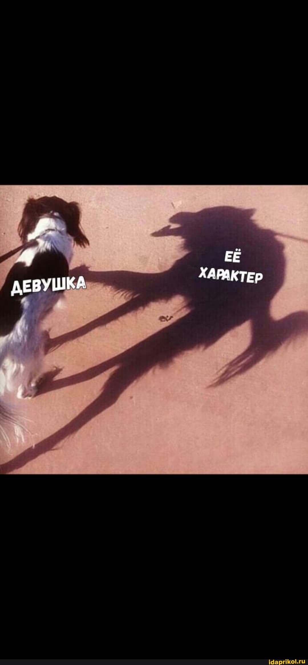 ЕЕ ХАРАКТЕР УШКА ЛЕВУШ